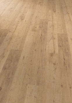 Commercial Shoreline Oak